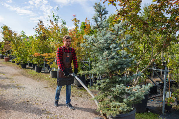 Mulching Services in Casselton, ND